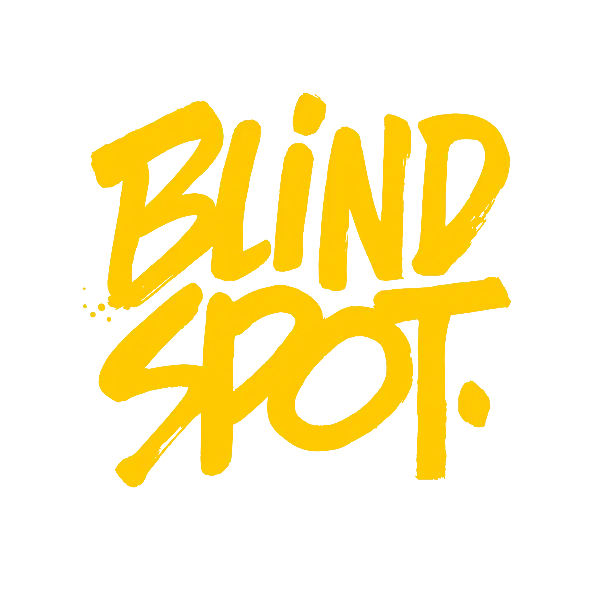 blindspot - disquaire rennes