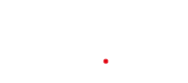 blindspot - disquaire rennes